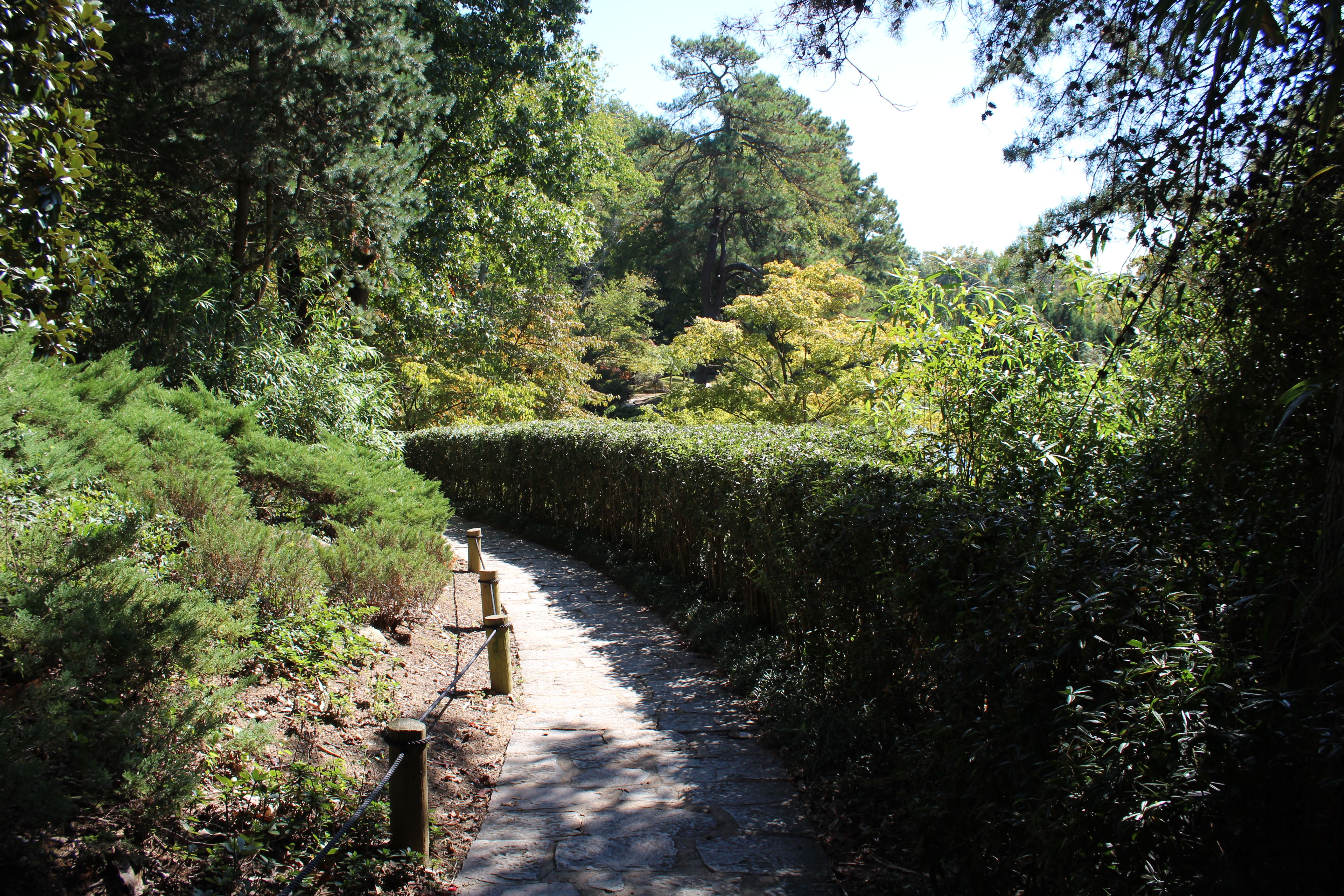 A Tour of Maymont Park in Richmond, VA NATURE PHOTO SHOOT Japanese